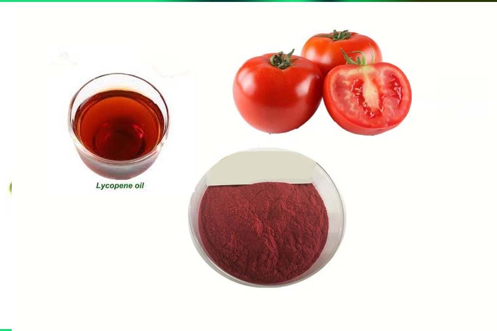 Lycopene Oil & Powder